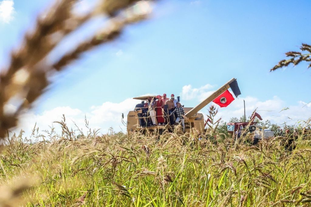 10 Rituais de Plantio Indígenas Pouco Conhecidos