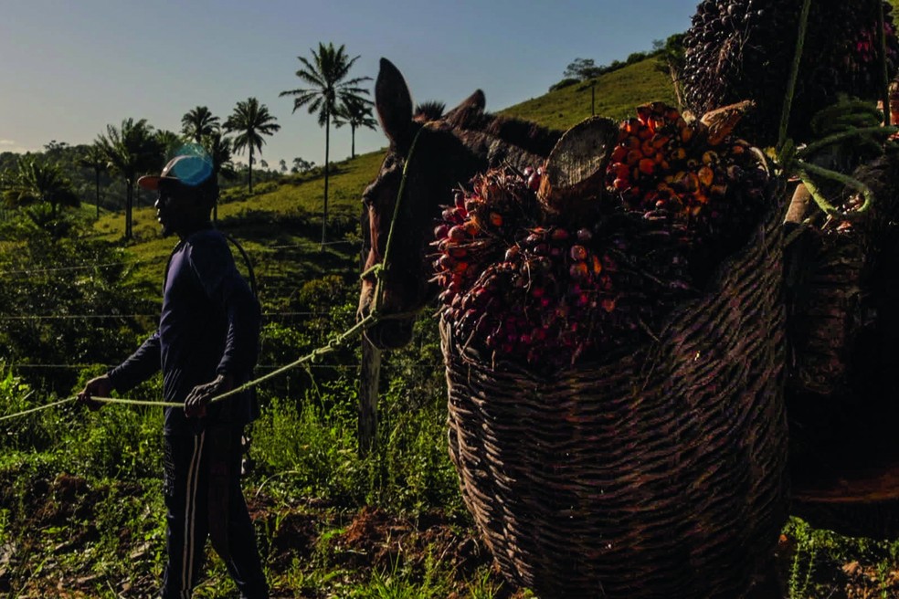 10 Rituais de Plantio Indígenas Pouco Conhecidos