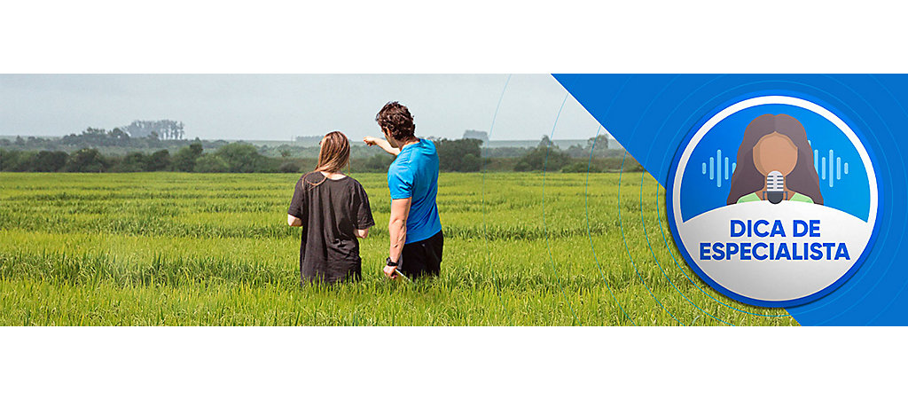 rituais de plantio e colheita