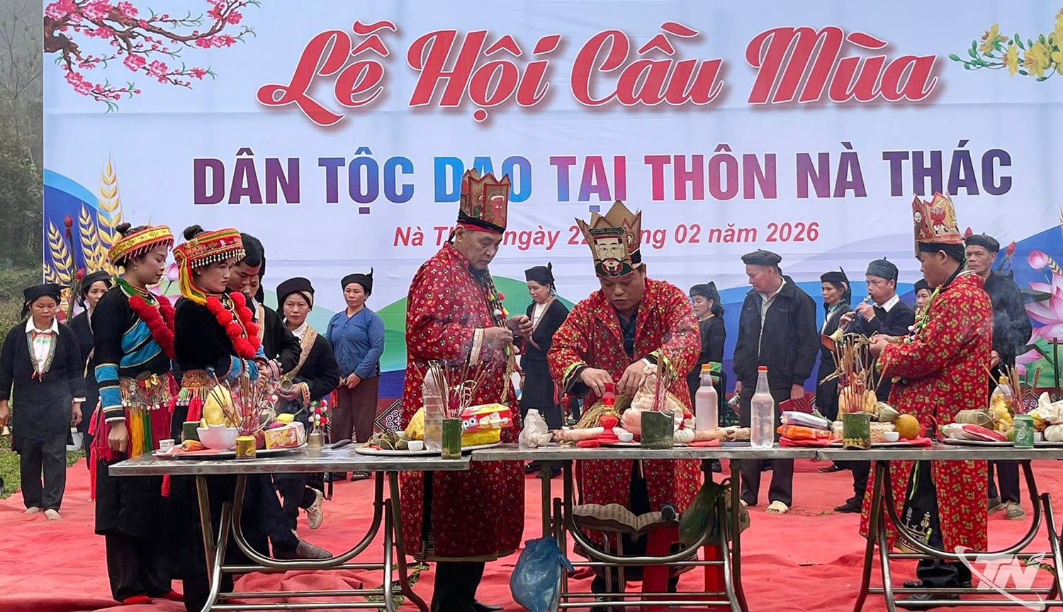 Como a Lua Influencia o Sucesso da Sua Colheita: Sabedoria Ancestral