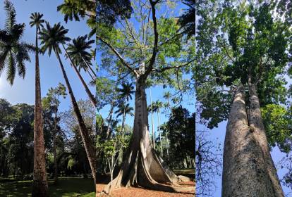 Conheça a General Sherman