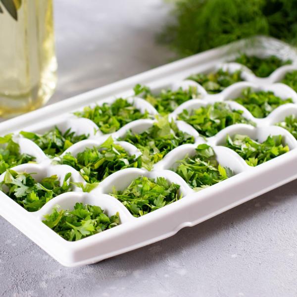 salsa fresca ou congelada