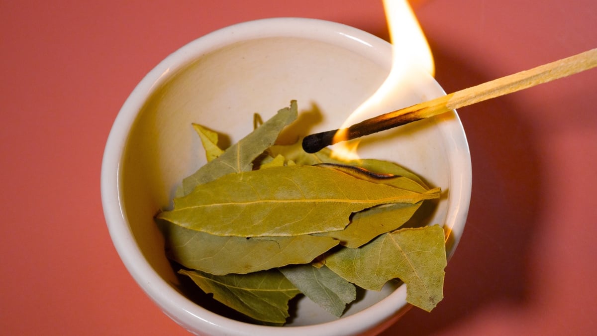 Como usar folhas de louro na culinária