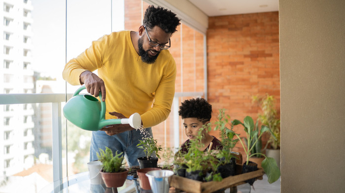 Como fazer compostagem caseira