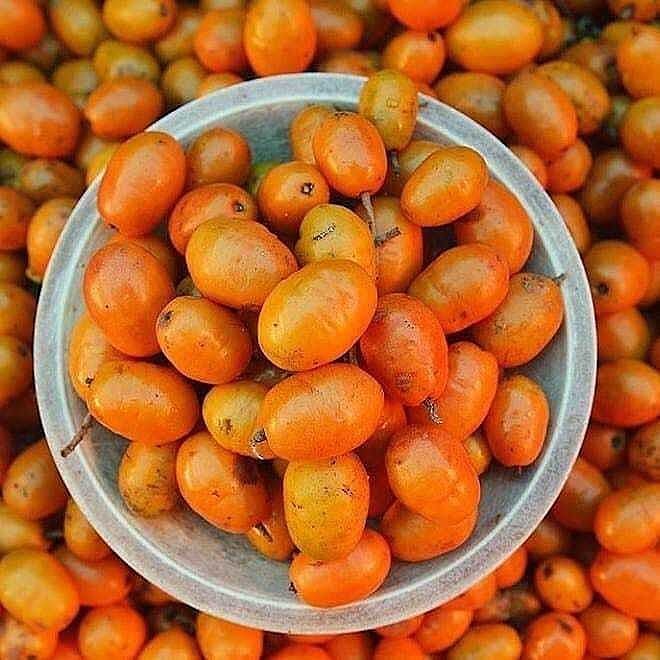 benefícios surpreendentes da seriguela para a saúde