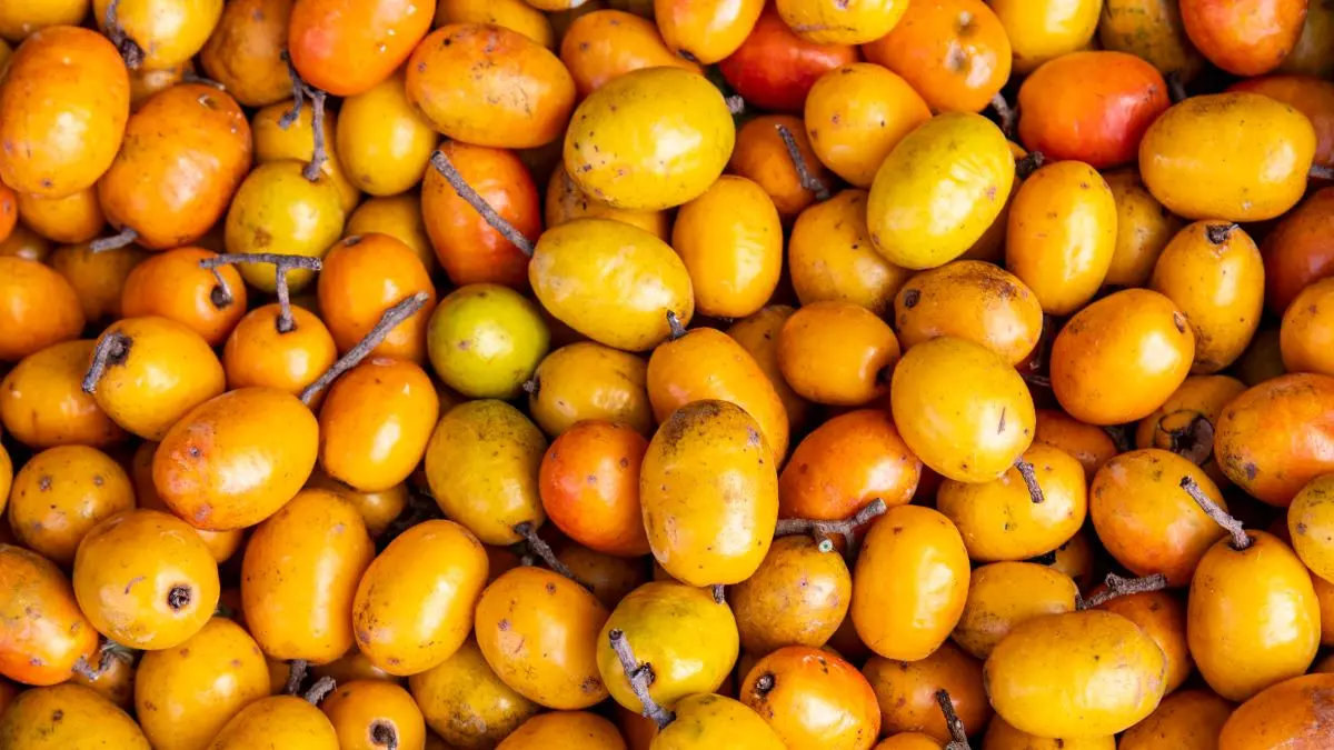 erros comuns ao consumir seriguela e como evitá-los