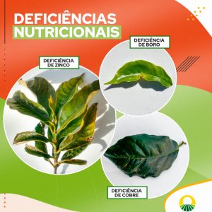 A Relação Entre Deficiência de Cobre e Problemas Neurológicos