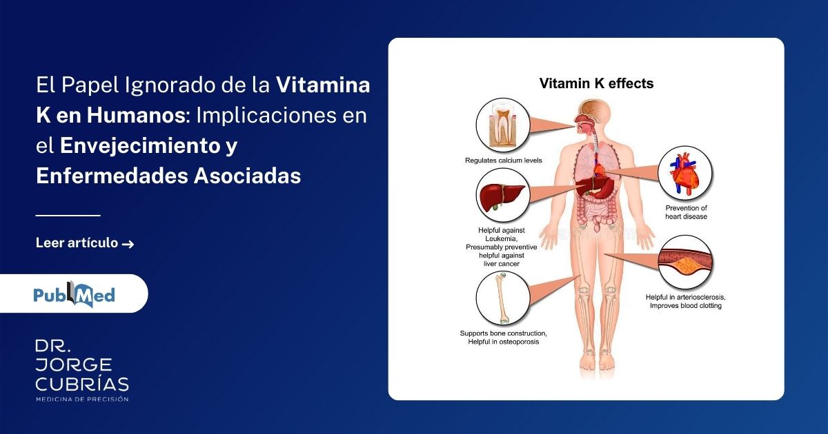 Fontes alimentares de Vitamina K