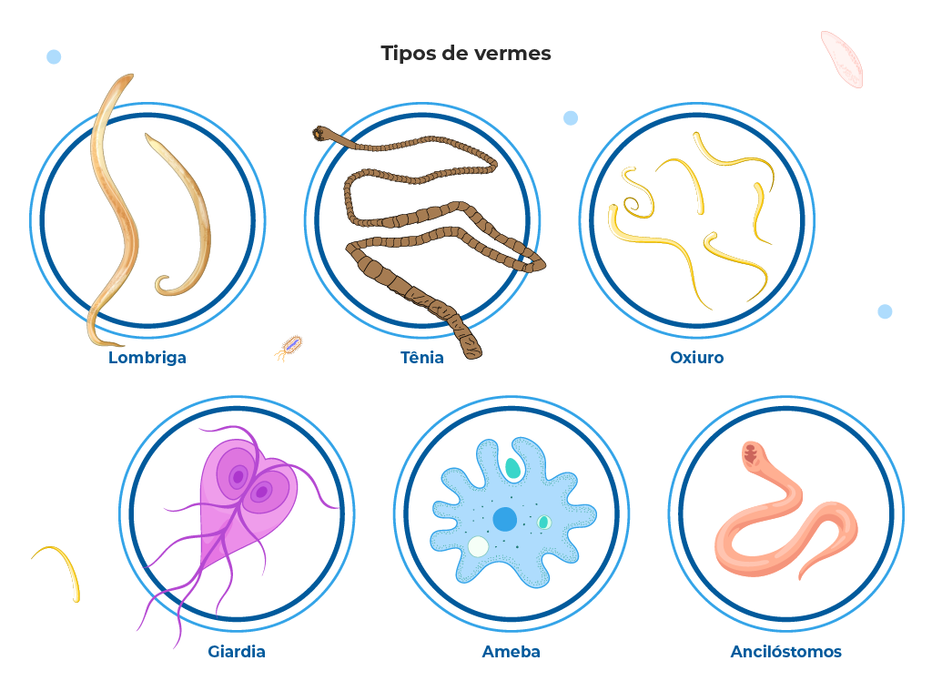 Os 5 Sintomas Mais Comuns de Vermes em Crianças