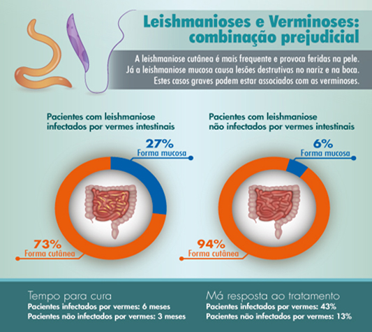 Exame Parasitológico de Fezes: O Que Você Precisa Saber