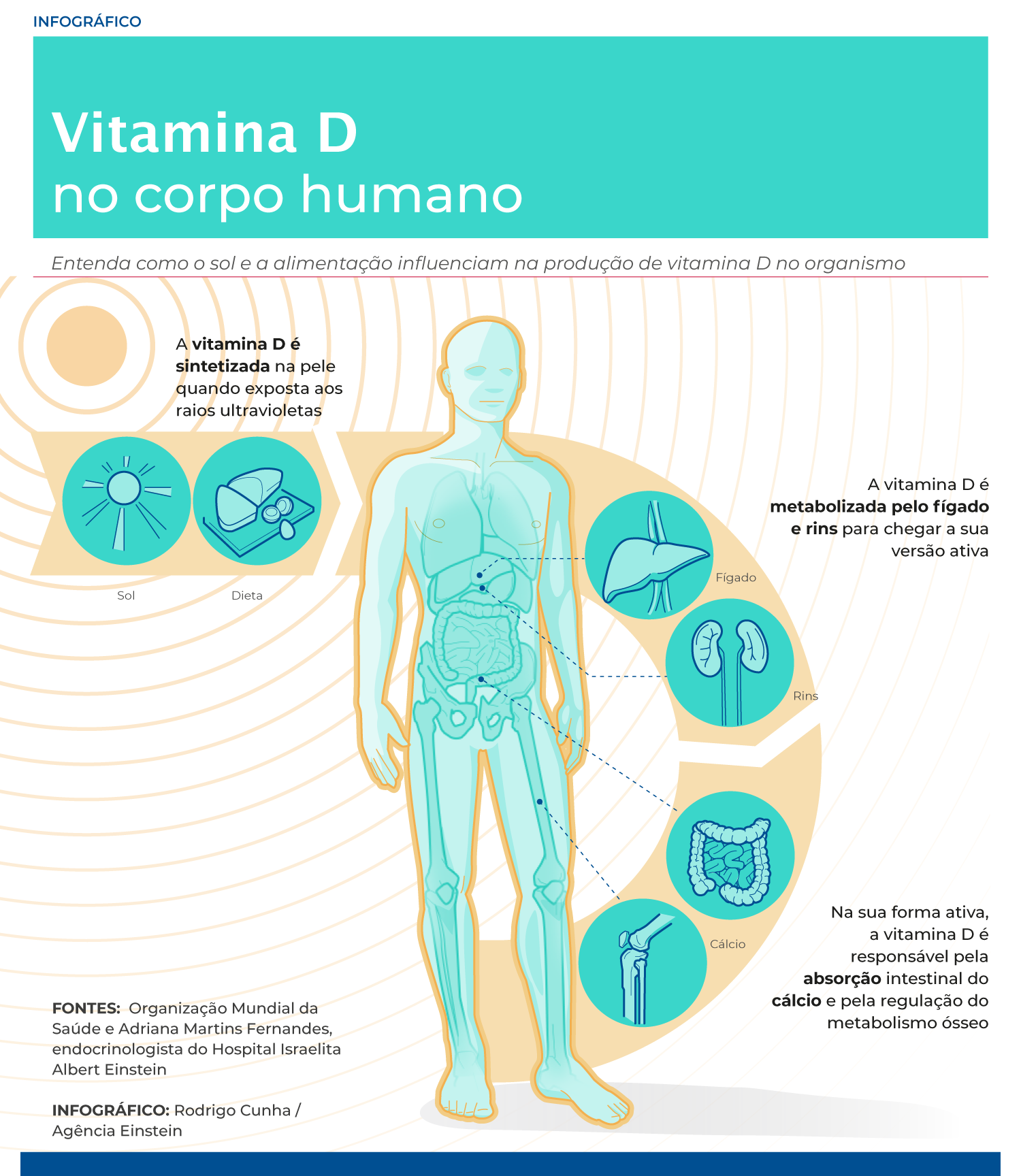 sintomas excesso vitamina d