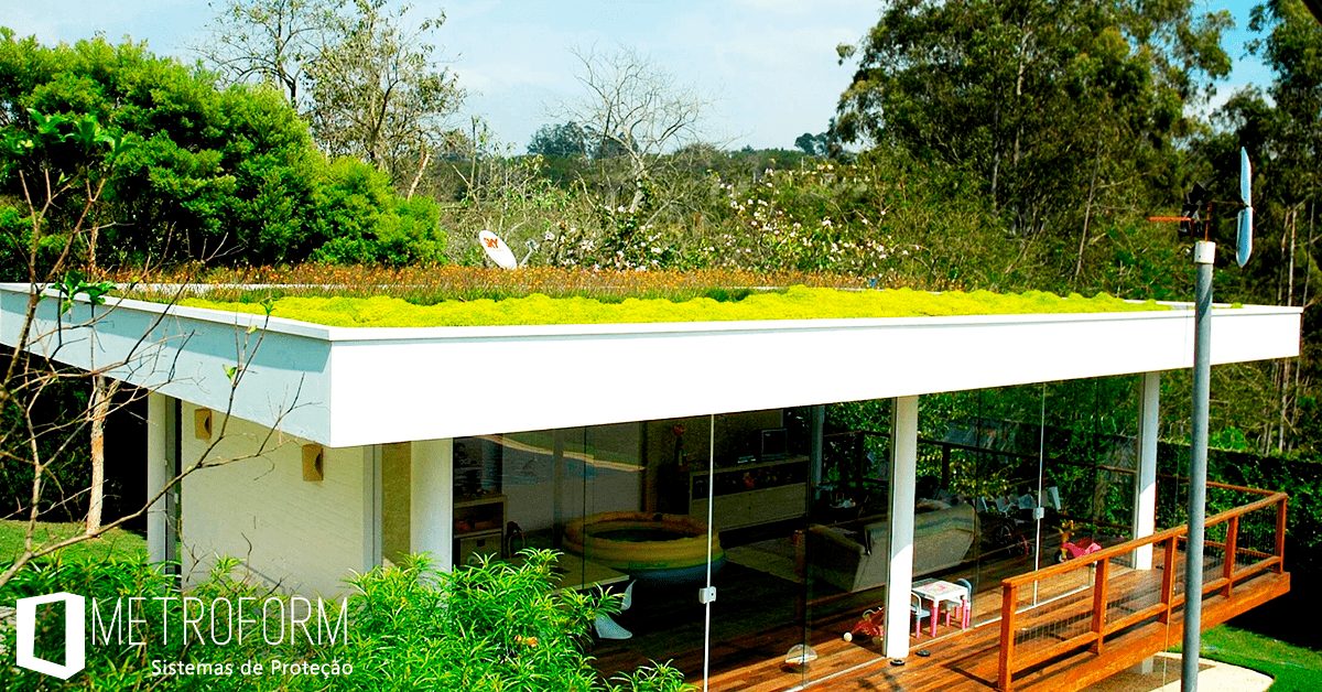 Melhores plantas para telhados verdes no Brasil