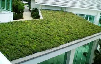 Exemplos de telhados verdes inspiradores pelo mundo