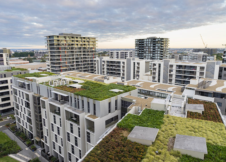 Melhores plantas para telhados verdes no Brasil