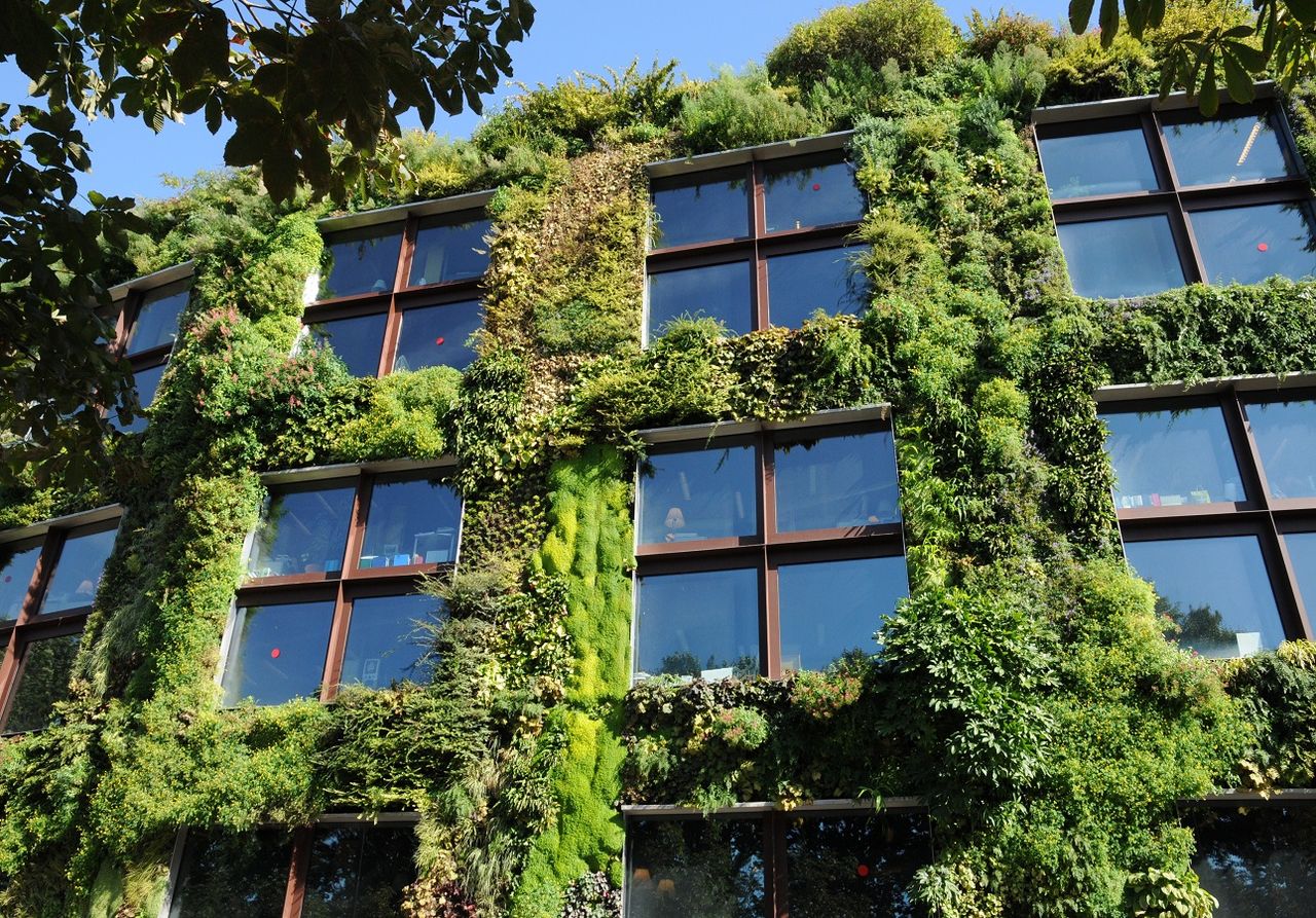 Telhados verdes e a valorização imobiliária