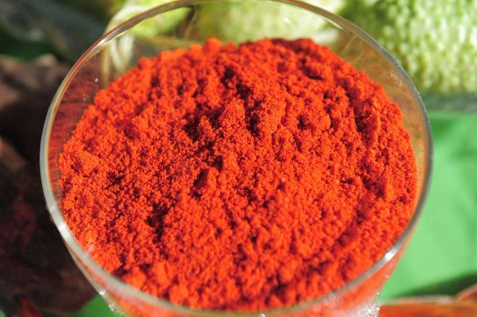 O segredo dos temperos para pratos indianos