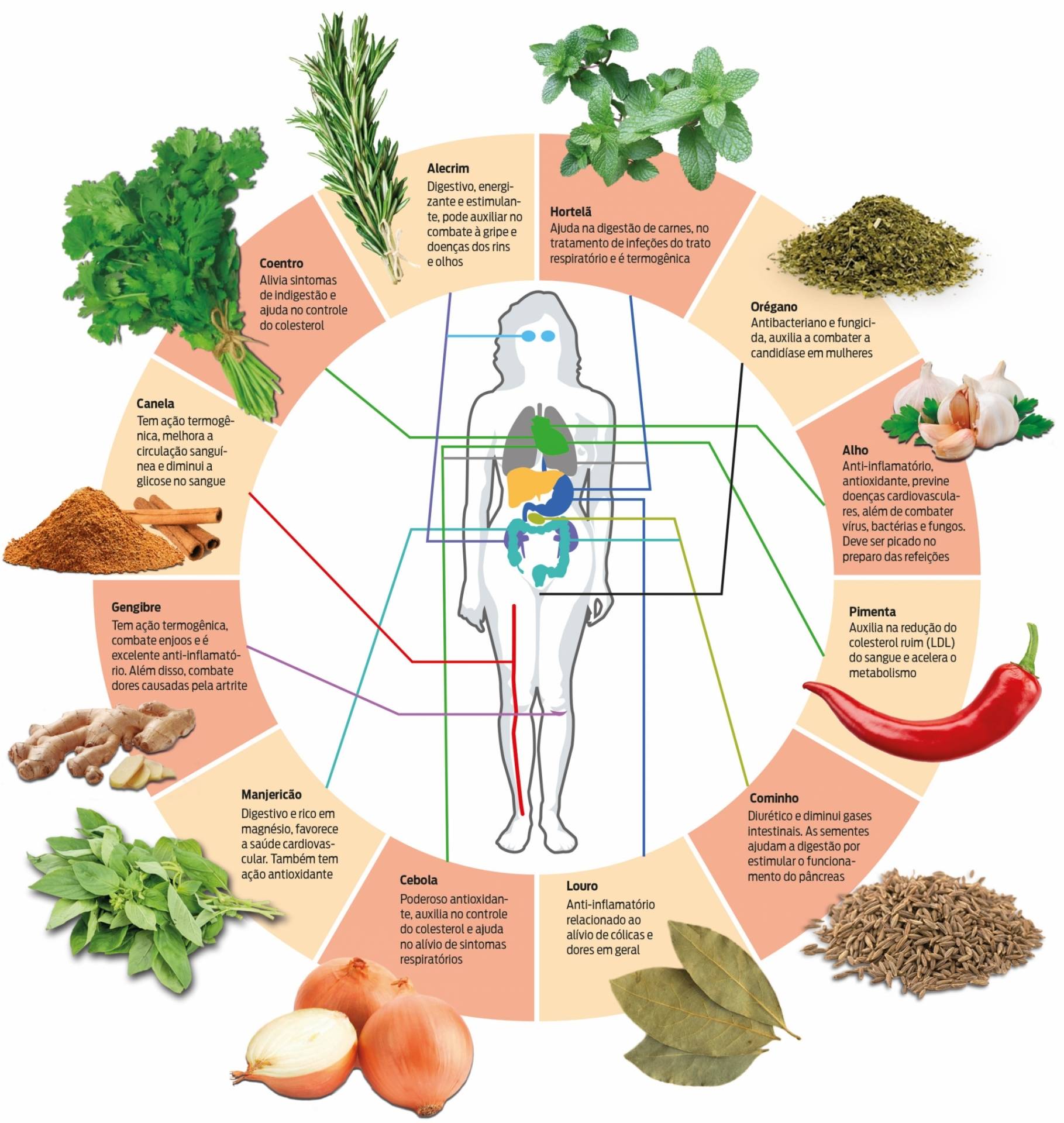 temperos termogênicos