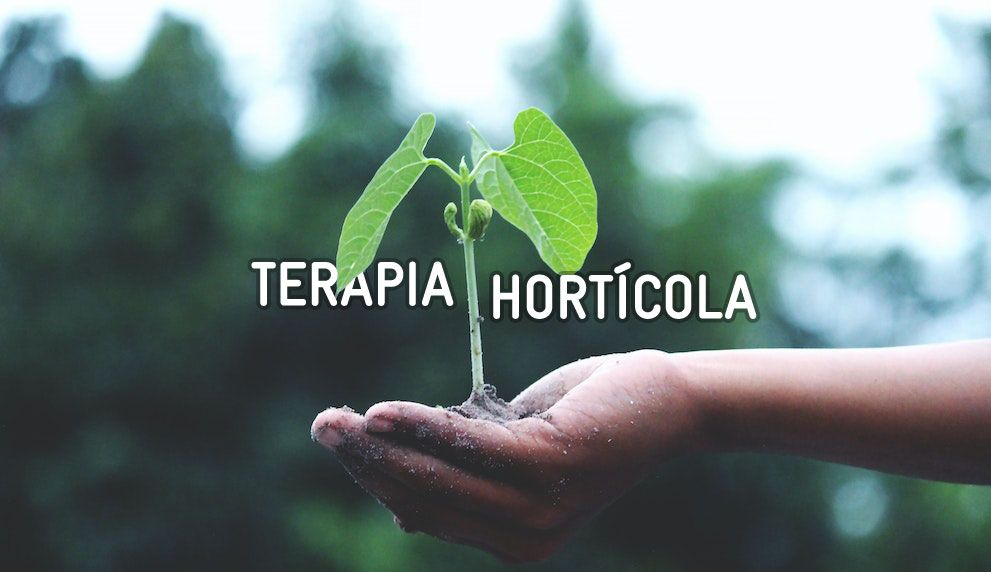 terapia hortícola