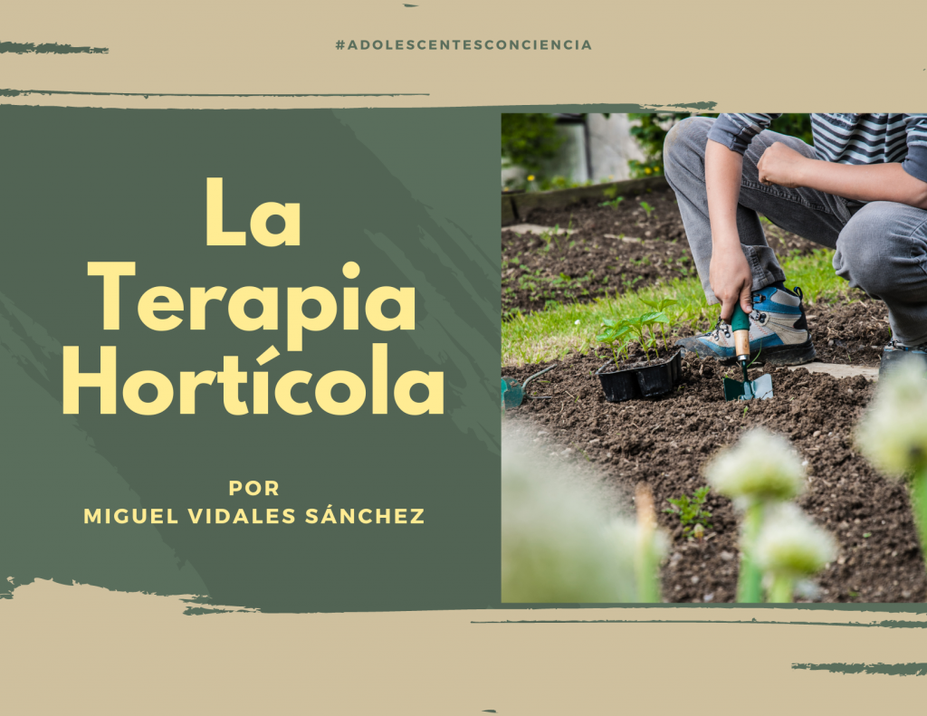 Como criar uma horta terapêutica em casa