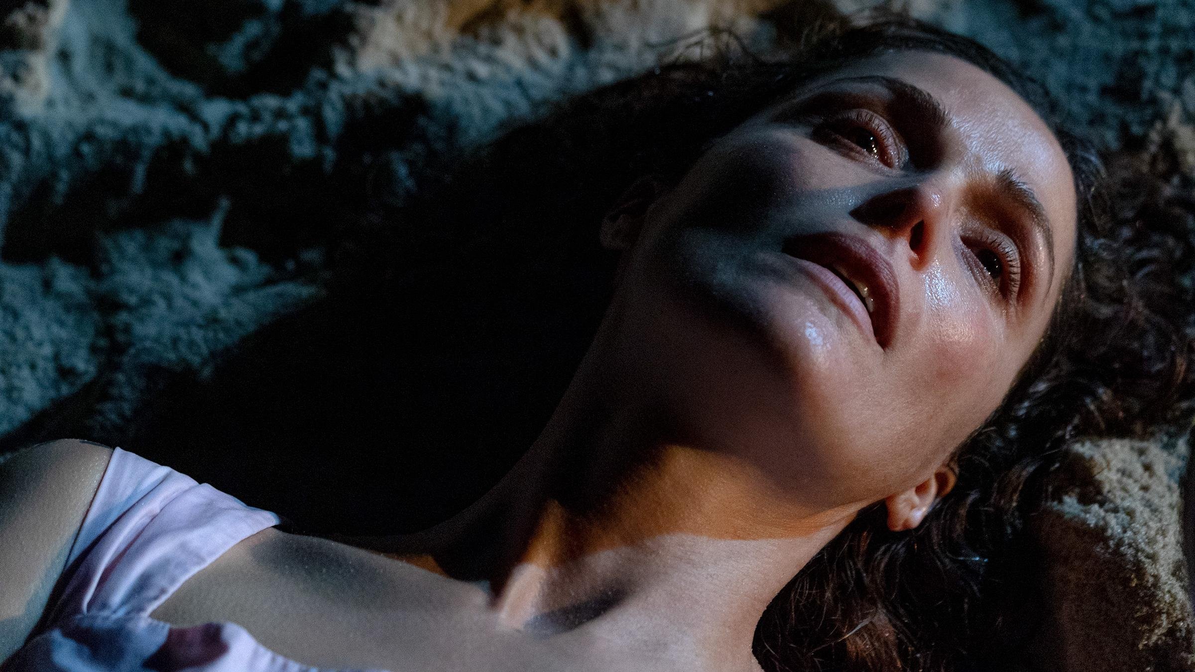 tutorial mudar tema transparente navegador zen passo a passo