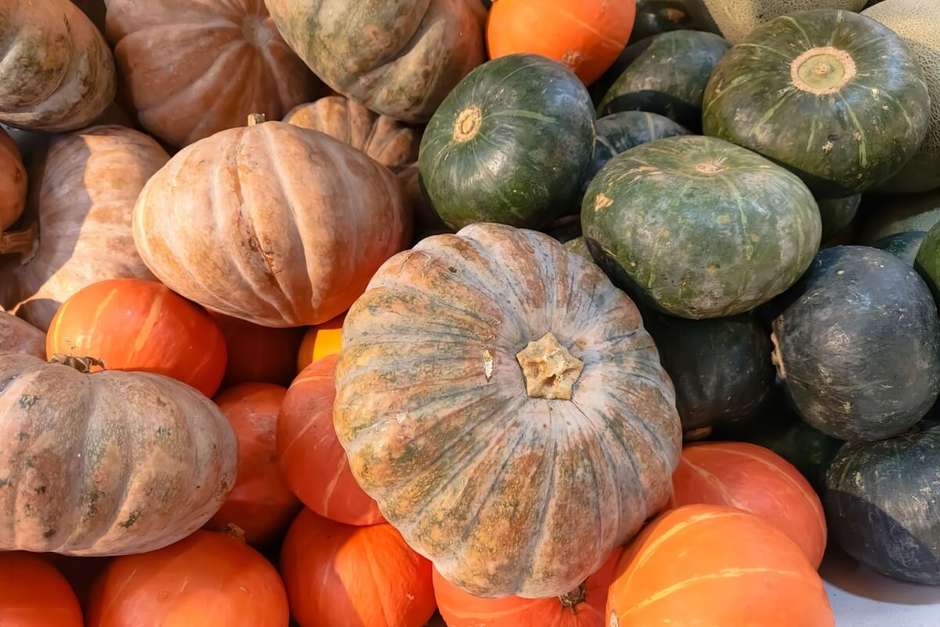tipos de abóbora