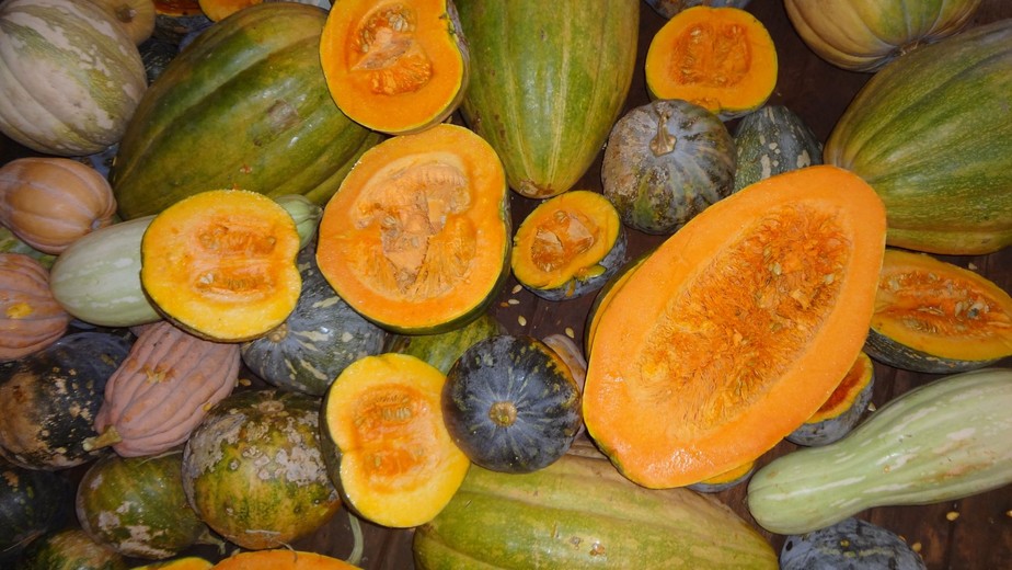 Receita de Nhoque de Abóbora Cabotiá