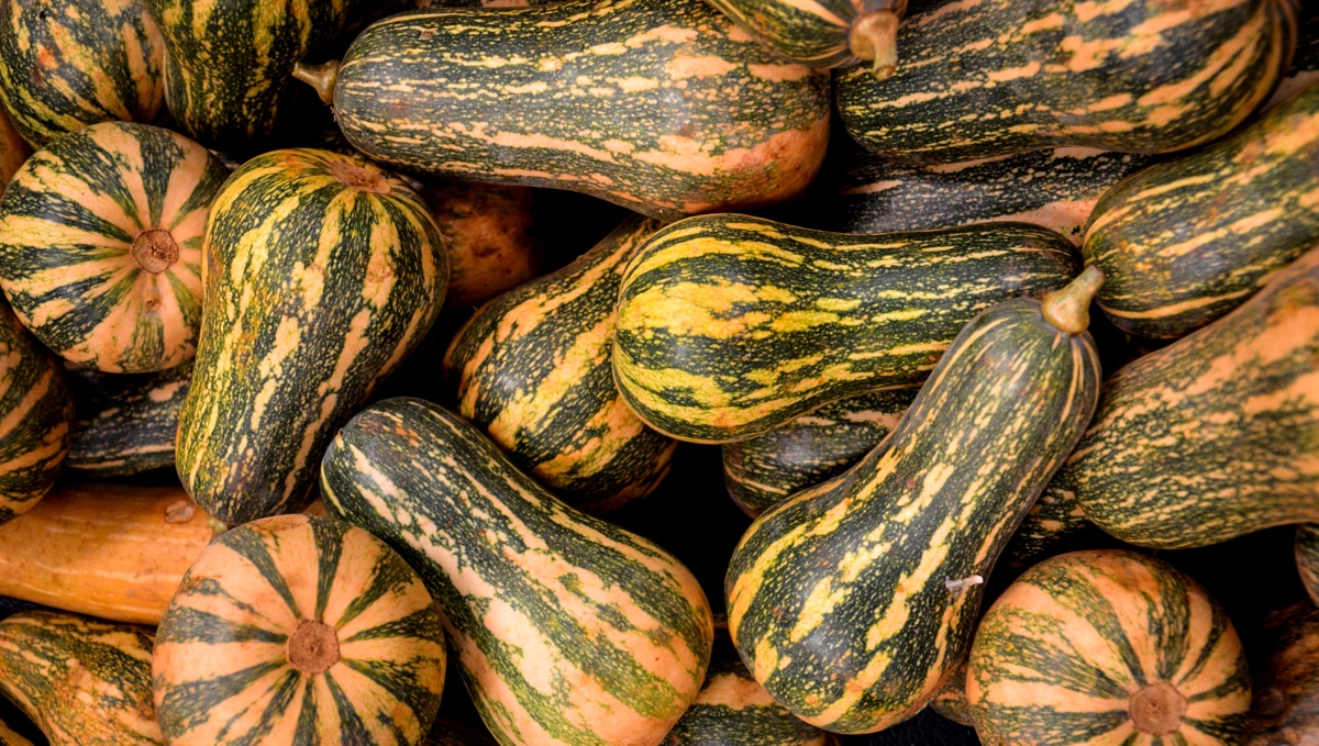 Como Fazer Doce de Abóbora de Pescoço