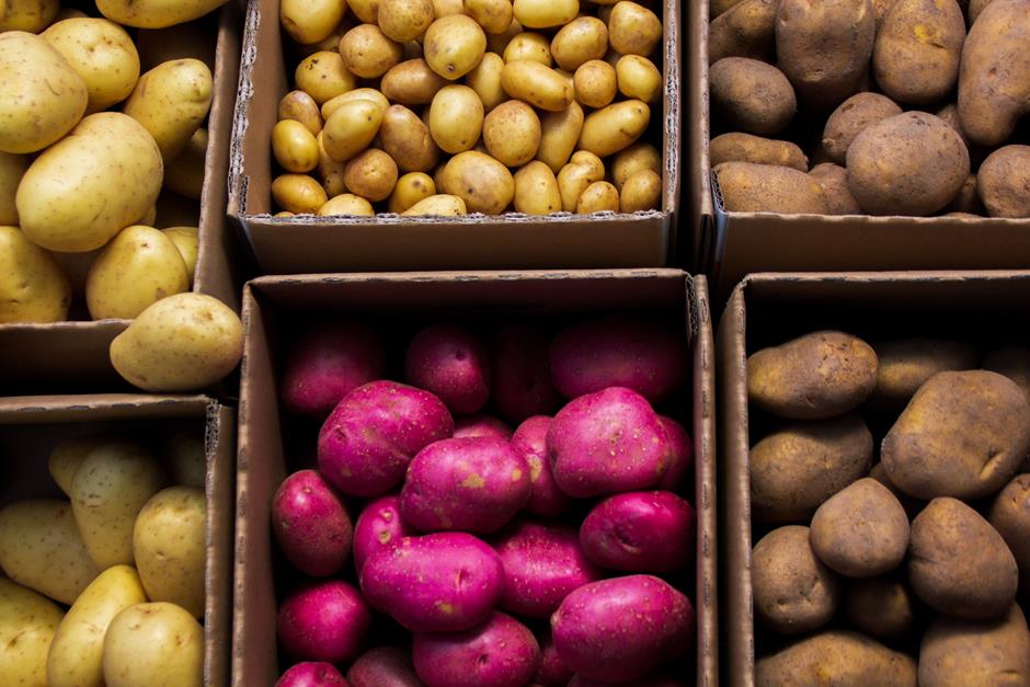 tipos de batata e seus usos culinários