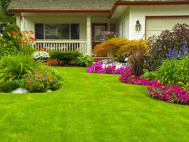 melhores tipos de grama para jardim residencial