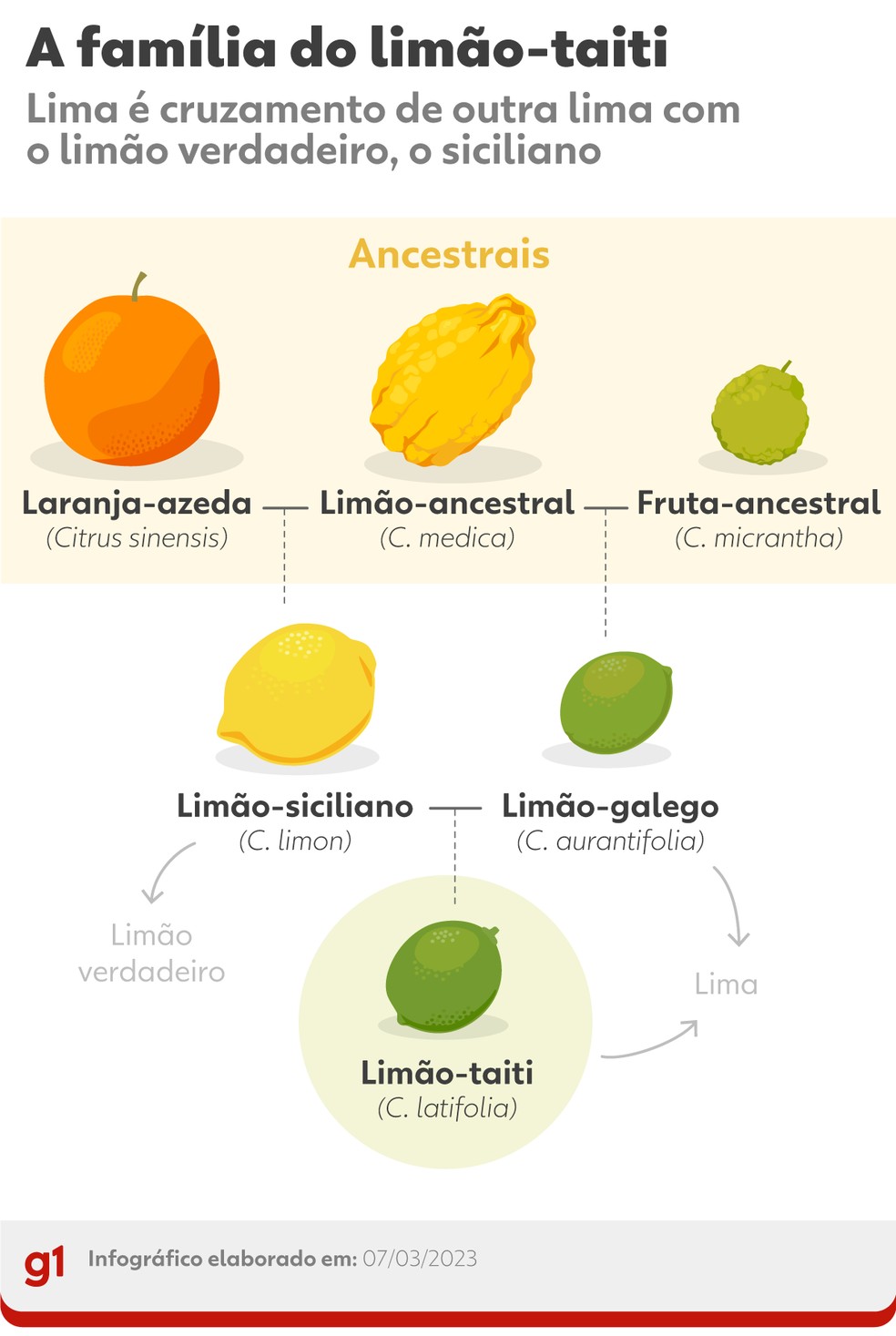 Receita de Torta de Limão Siciliano Fácil