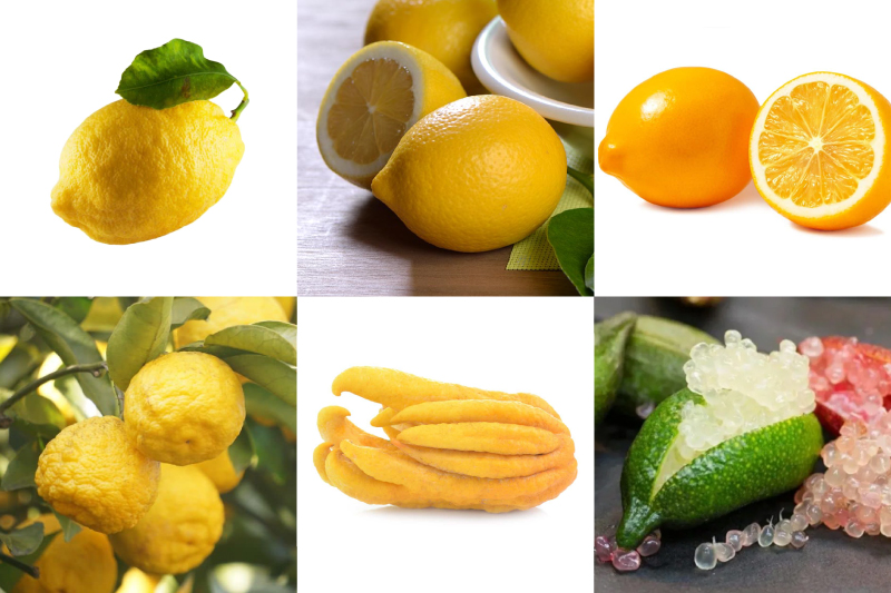 Caipirinha Perfeita com Limão Taiti