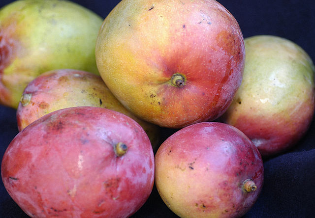 Receitas Incríveis com Mangas Fibrosas