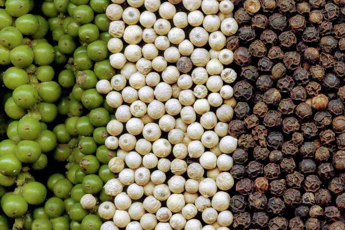 Pimenta do reino vermelha: onde encontrar e como usar