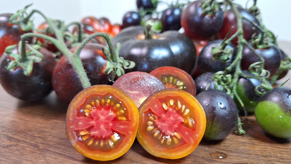 Como escolher o tomate ideal para cada receita