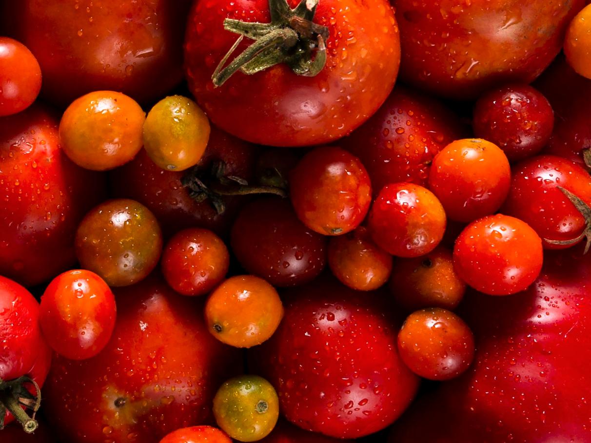 Mini tomates: ideias criativas para petiscos e saladas
