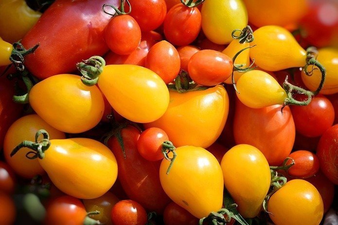 Os 5 melhores tipos de tomate para saladas frescas