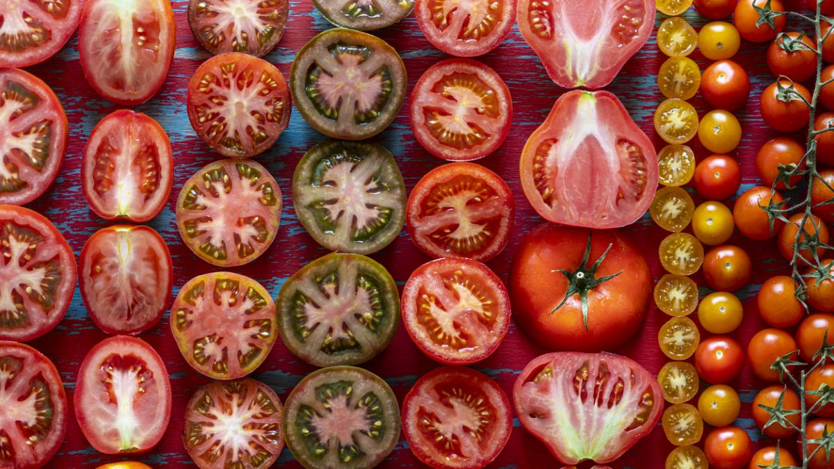 Os 5 melhores tipos de tomate para saladas frescas
