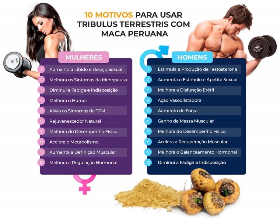 tribulus terrestris para que serve