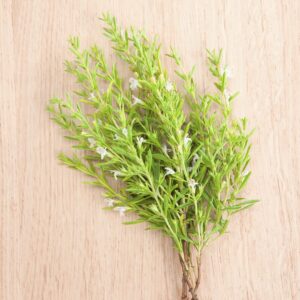 Segurelha vs Tomilho: Qual a diferença?