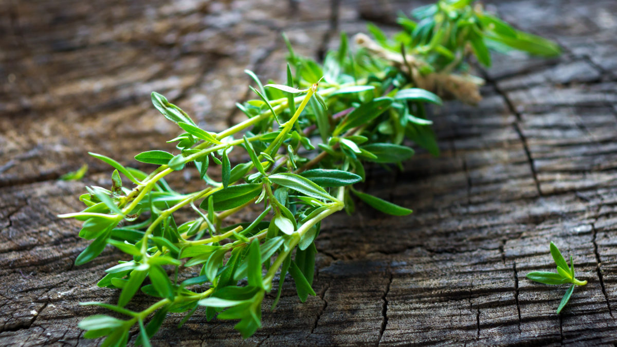 Os segredos da segurelha para uma digestão saudável