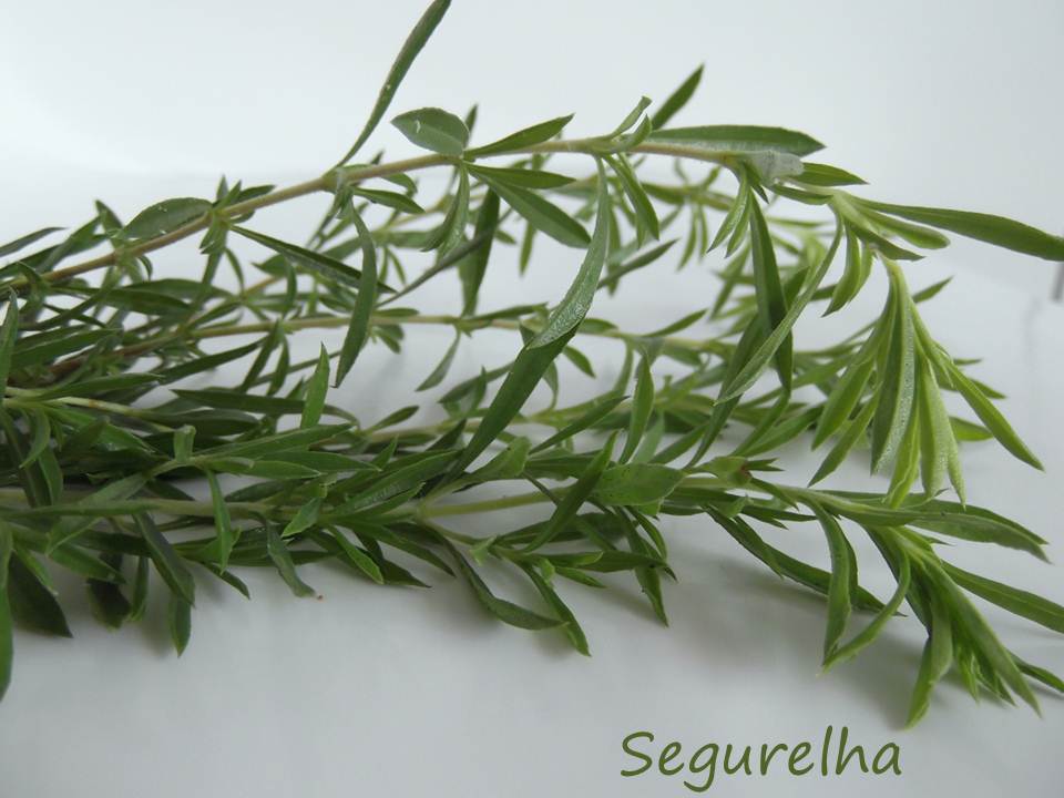 Receitas italianas com segurelha