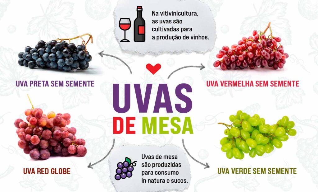 tipos de uva e suas vitaminas