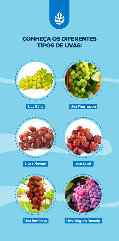 erros ao consumir uva para saúde