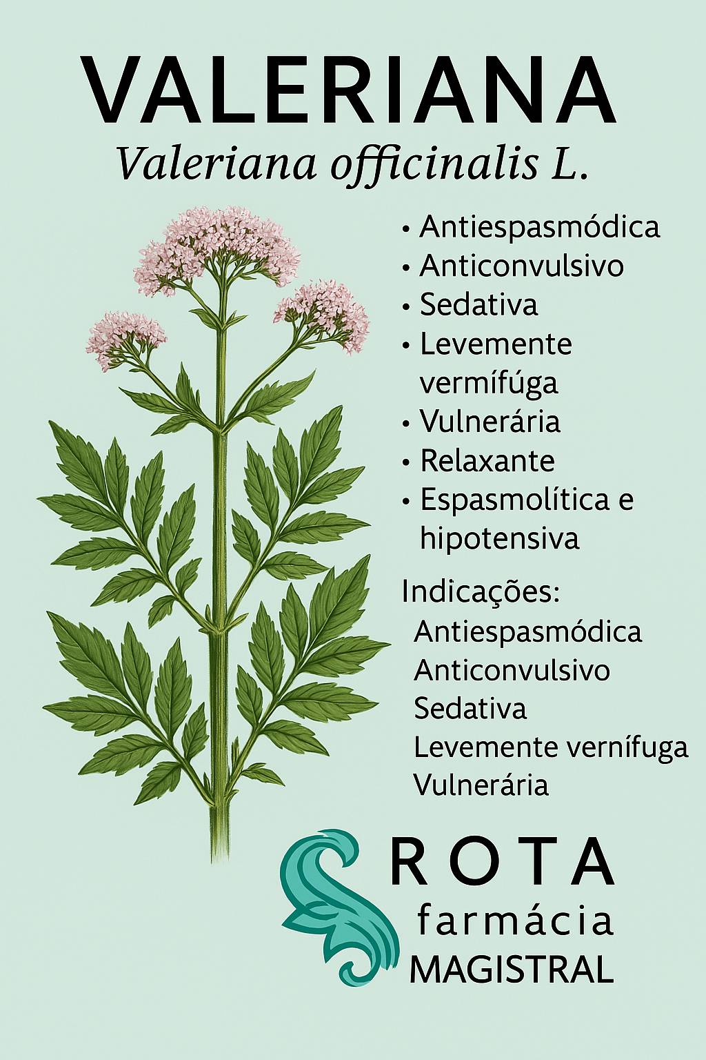 Receitas de Chás Calmantes com Valeriana