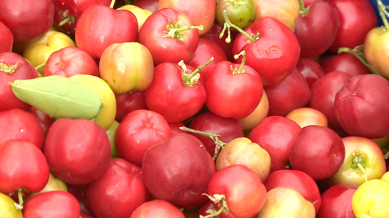 Comparativo de Preços: As Melhores Ofertas de Vitamina C do Mercado