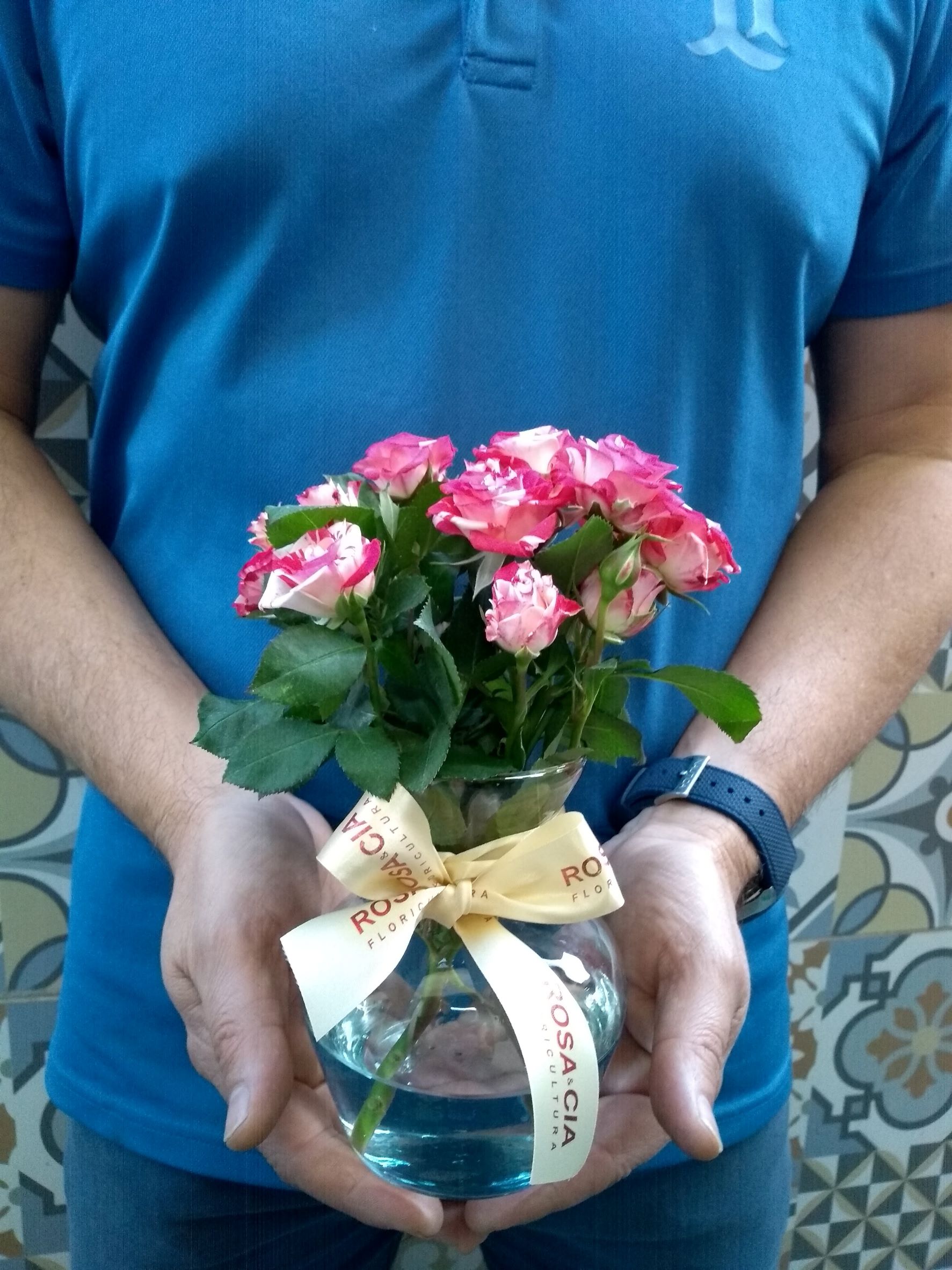 cuidados com rosas em vaso