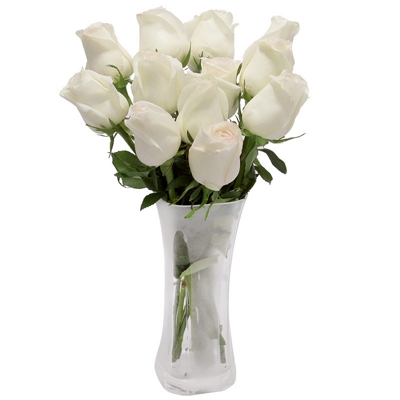 vaso de rosas vermelhas