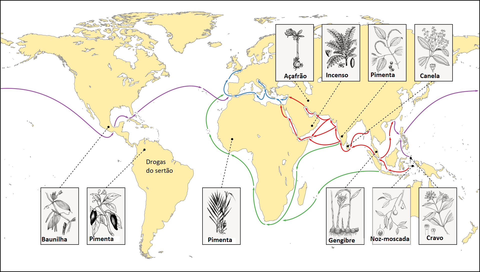 Descubra o Agroturismo na Rota das Especiarias Brasileira