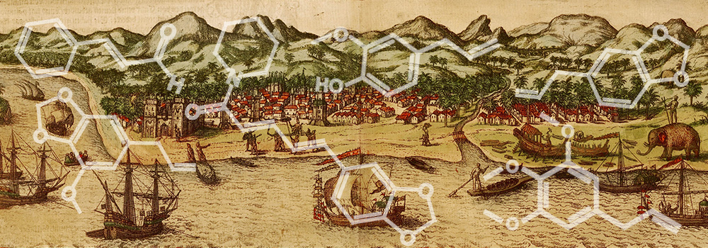 Livros Essenciais para Entender a Rota das Especiarias