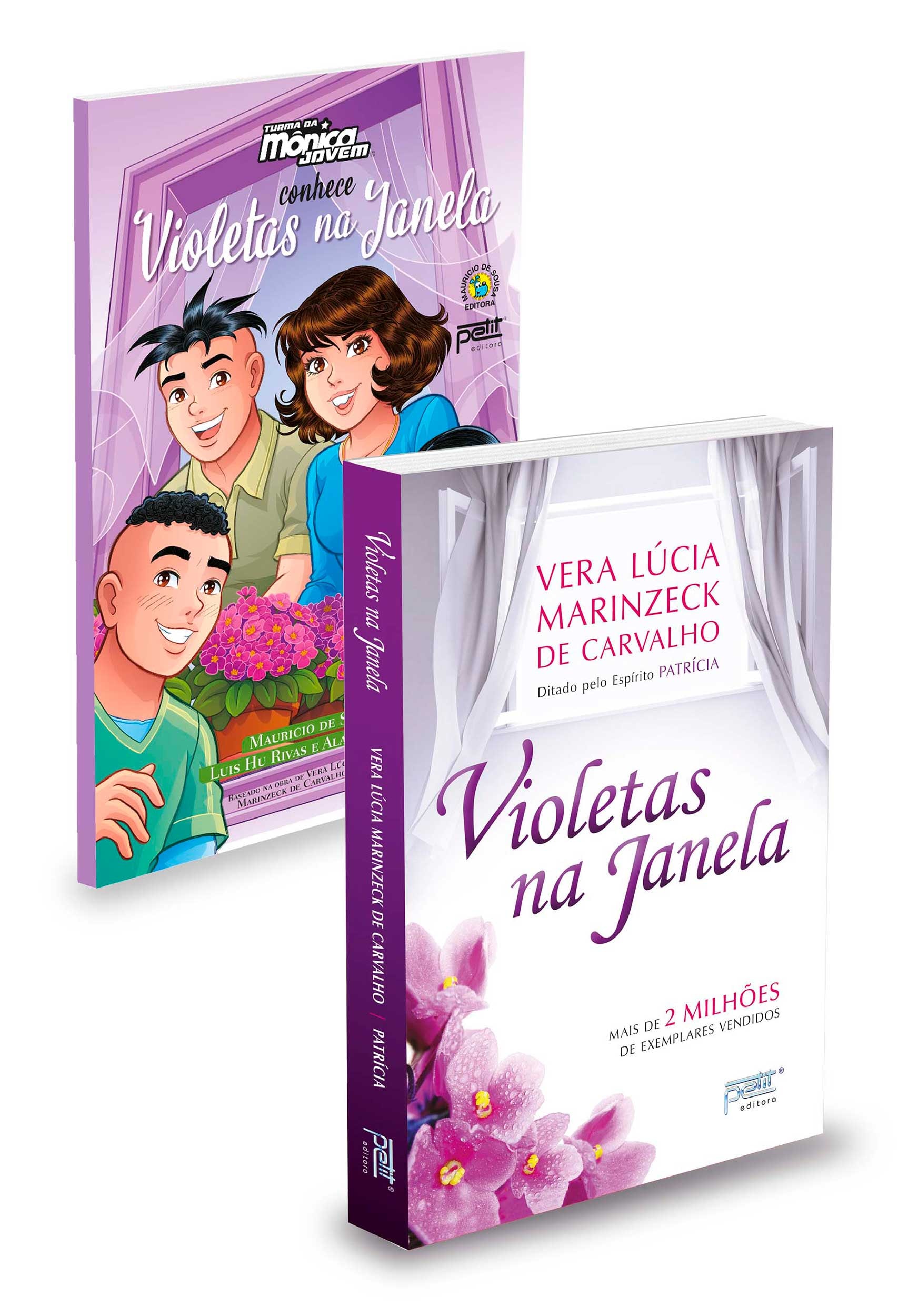 violetas na janela